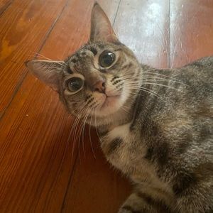 Meet your Posher, Allyson